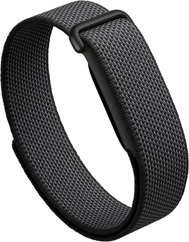 Google Fitbit Air