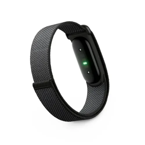 Google Fitbit Air