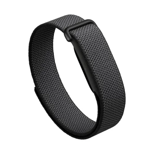 Google Fitbit Air