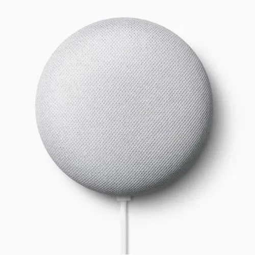 Google Nest Mini Smart Speaker