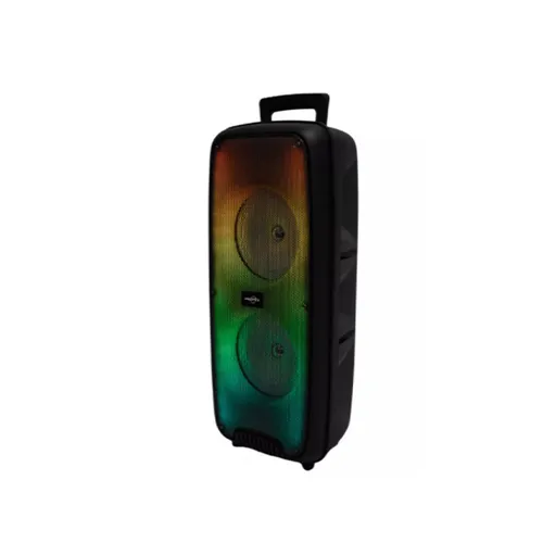 Greatnice GTS-1625 Portable Wireless Speaker