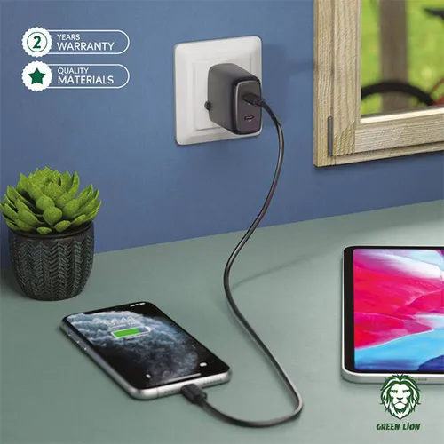 Green Lion 40W Compact Wall Charger Dual Port Type-C Charger