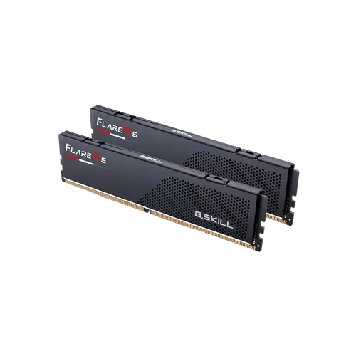 G.SKILL FLARE X5 32GB (16GB×2) DDR5 5600Mhz Ram