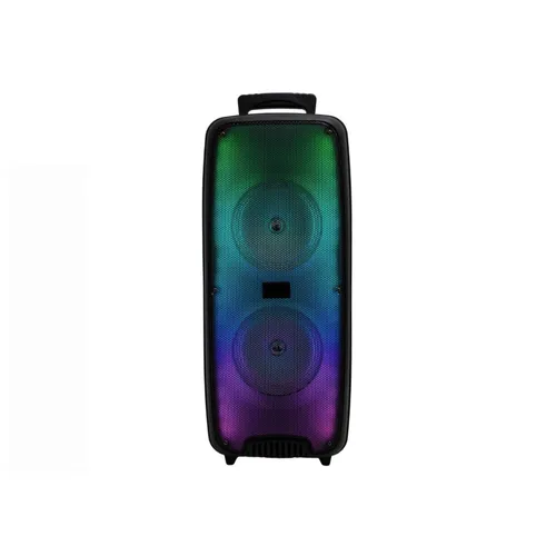 GTS-1625 Karaoke Bluetooth Speaker with Lights Panel
