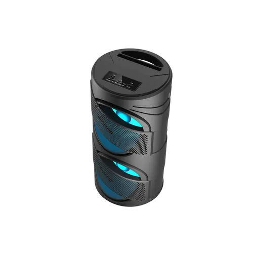 GTS Portable Wireless Speaker with Wired Microphone GTS-1309