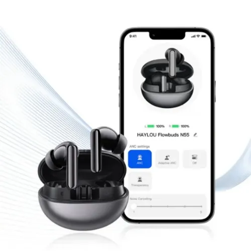Haylou Flowbuds N55 ANC Earbuds