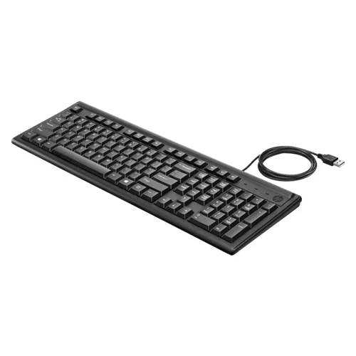 Hp Keyboard 100 (Wired)