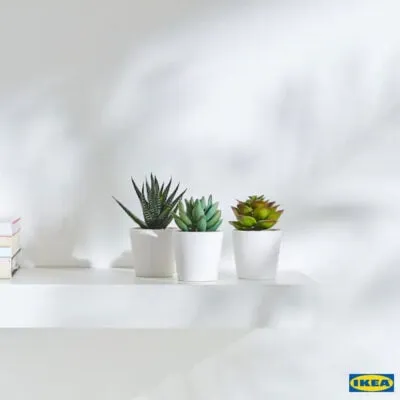 Ikea FEJKA Artificial potted plant with pot, in/outdoor Succulent (6 cm, 3 pack)