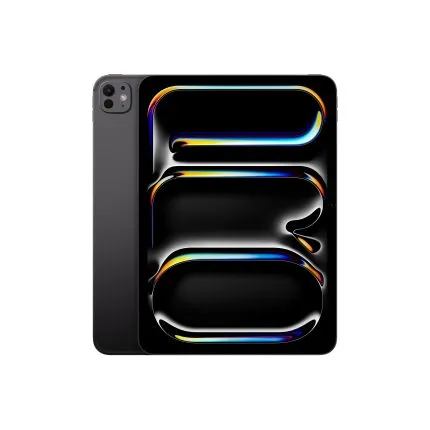 iPad Pro 11″ Wifi + Cellular / M4