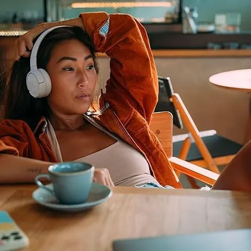 JBL Tune 520BT Wireless On-Ear Headphones