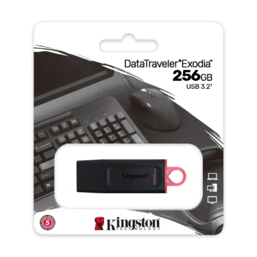 Kingston 256GB Data Traveler Exodia USB 3.2 Flash Drive