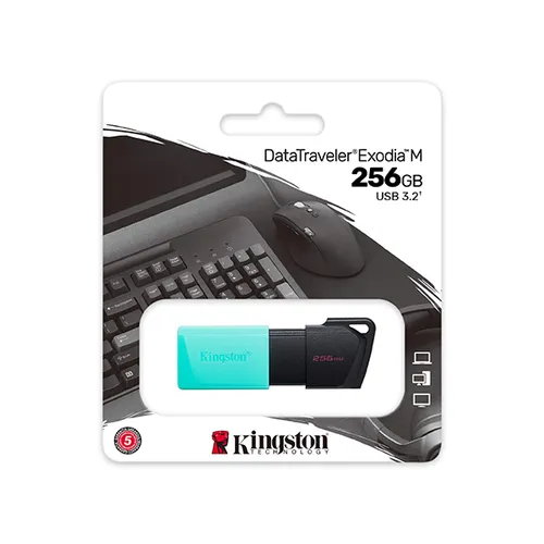 Kingston DataTraveler Exodia M 256GB USB 3.2 Flash Drive