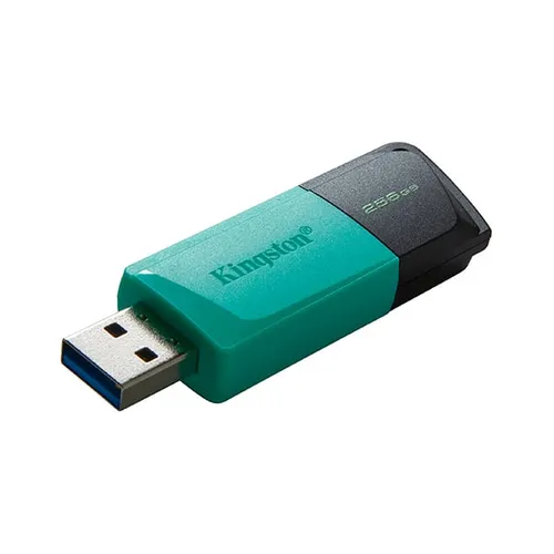 Kingston DataTraveler Exodia M 256GB USB 3.2 Flash Drive