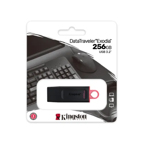 Kingston DTX 256GB Pen Drive