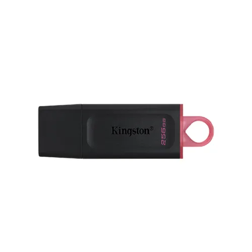 Kingston DTX 256GB Pen Drive