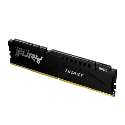 Kingston FURY Beast 16GB DDR5 5600MHz Memory