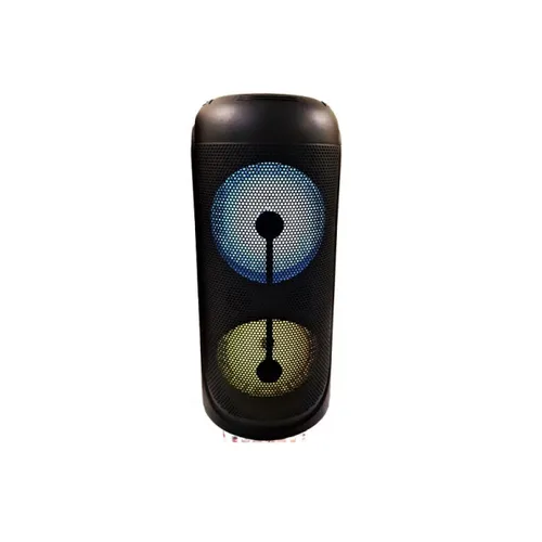 KTS-1269 Double 6.5 inch wireless High Quality Portable Speaker