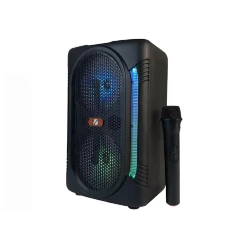KTS Speaker KTS-1329 6.5 Inch Twin Loudspeakers Wireless Bluetooth Speaker with Free Wireless Microphone Party &amp; Karaoke