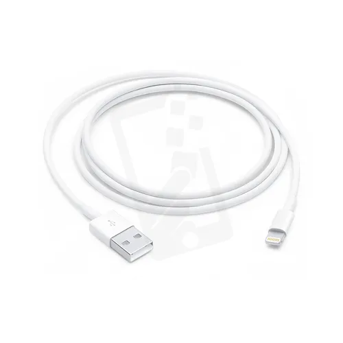 Lightning to USB Cable (1 m)