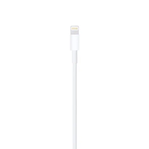 Lightning to USB Cable (1 m)