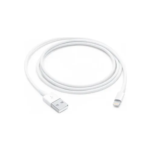 Lightning to USB Cable (1 m)