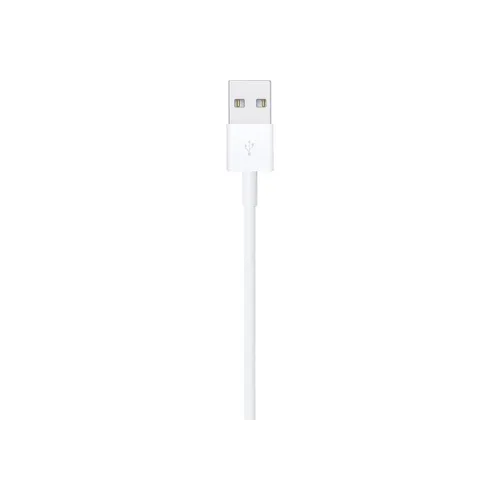 Lightning to USB Cable (1 m)