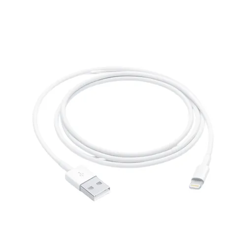 Lightning to USB Cable (1 m)