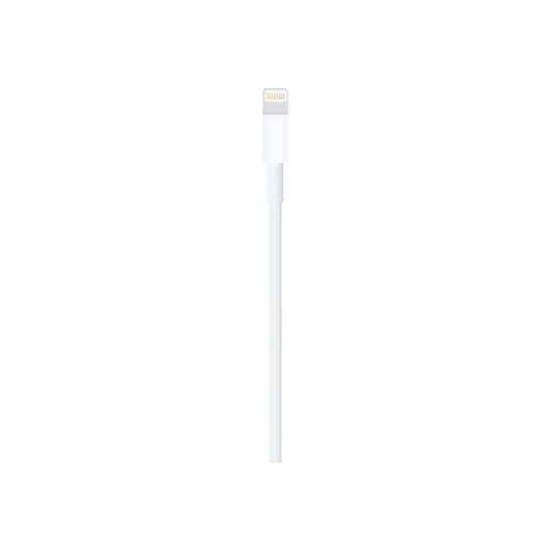 Lightning to USB Cable (1 m)