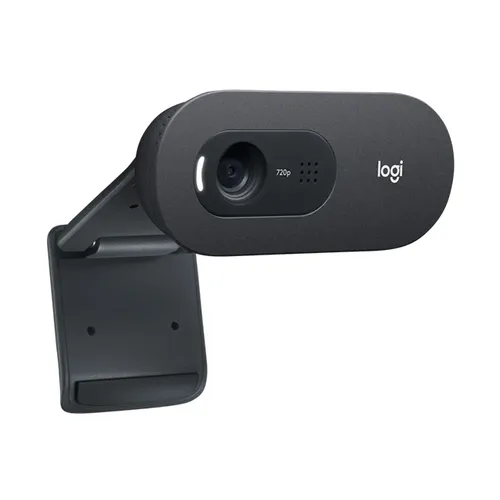 Logitech C505 HD Webcam