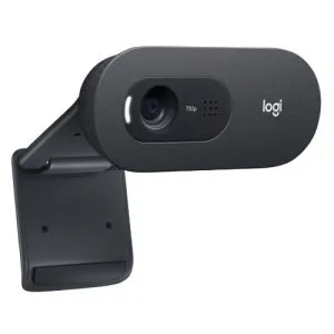 Logitech C505 High-Definition Webcam