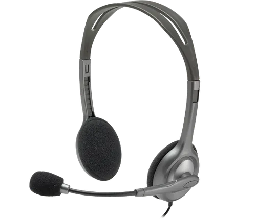 Logitech H110 Dual Plug Stereo Headset