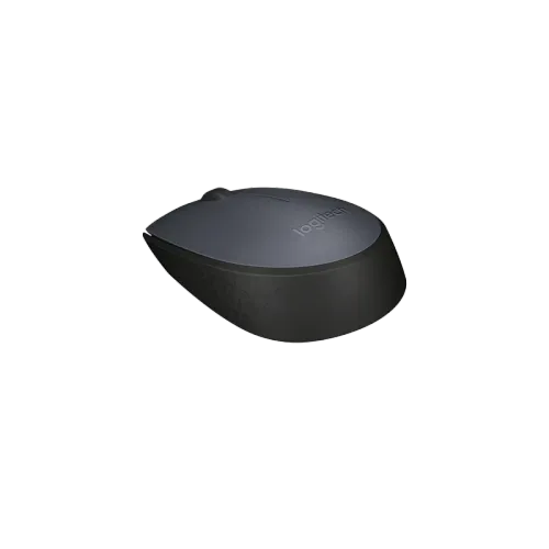 LOGITECH M170 WIRELESS MOUSE (3y)