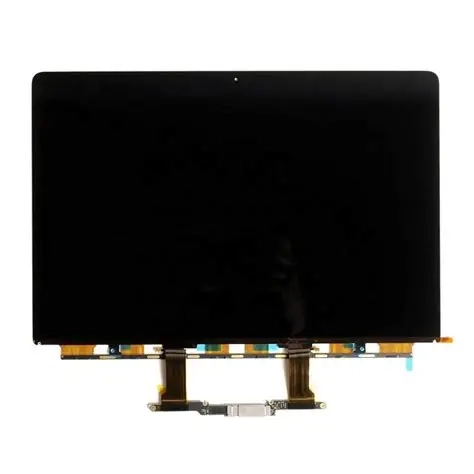 Mac Book 3241 Original Display Panel