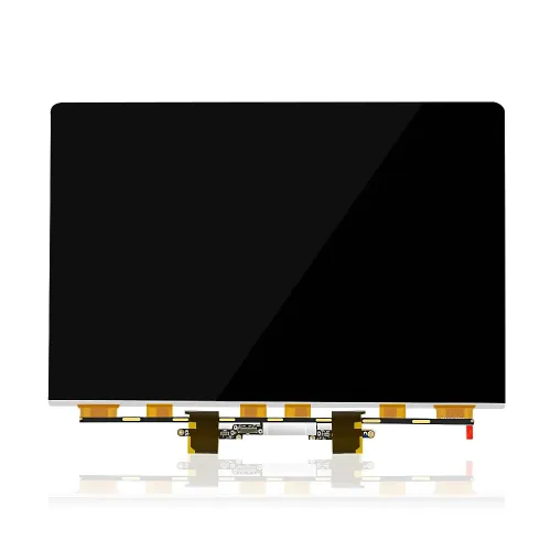 MacBook A3113 Display Panel