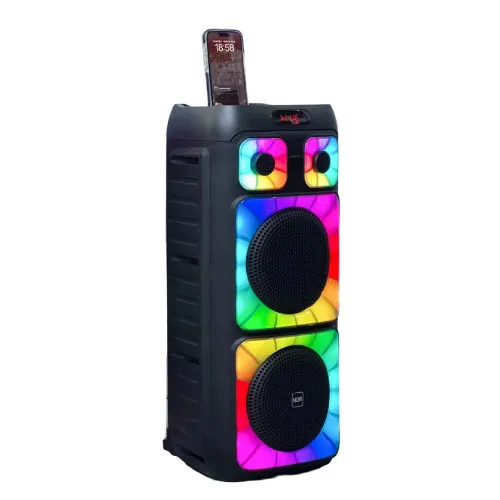 NDR-0202 50W Dual12 "Bluetooth Party Speaker