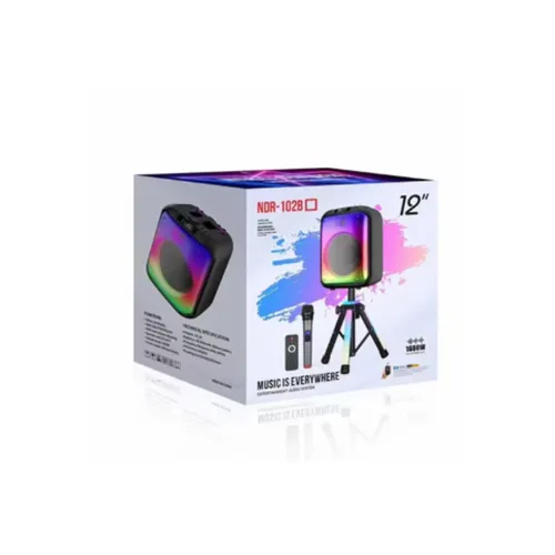 NDR-102B 12 Inch Wireless Bluetooth Speaker