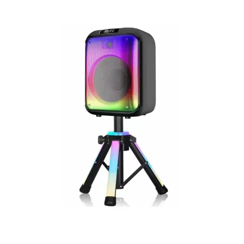 NDR-102B 12 Inch Wireless Bluetooth Speaker