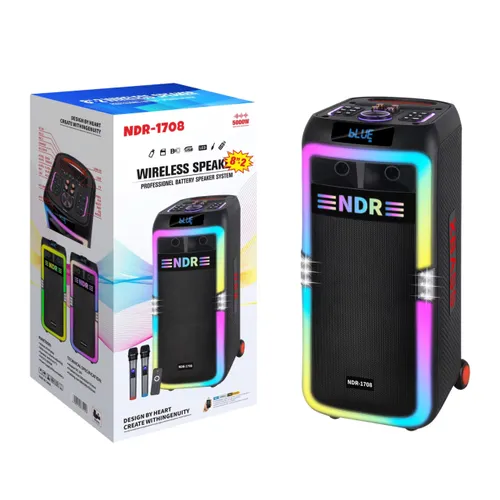 NDR-1708 Dual 8-Inch 80W High Power Bluetooth Karaoke Party Speaker with Wireless Microphone