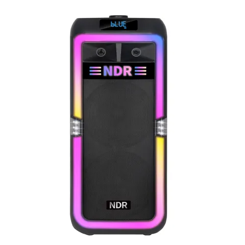 NDR-1708 Dual 8-Inch 80W High Power Bluetooth Party Speaker