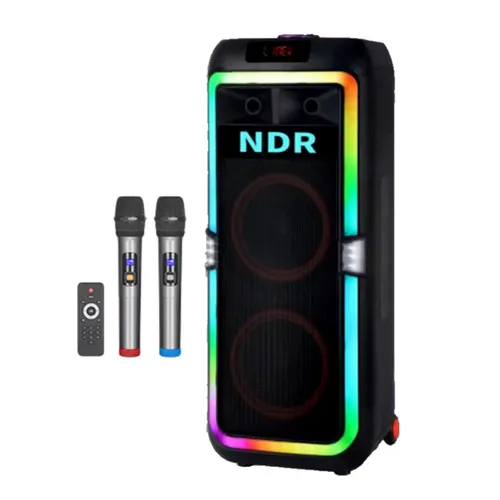NDR-1710 Portable Karaoke Speaker