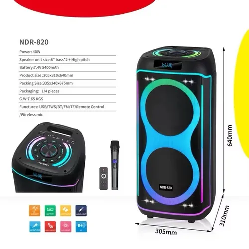 NDR-820 Dual 8-Inch Professional Party Speaker with Wireless Microphone