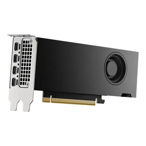 NVIDIA RTX 2000 Ada Generation 16GB