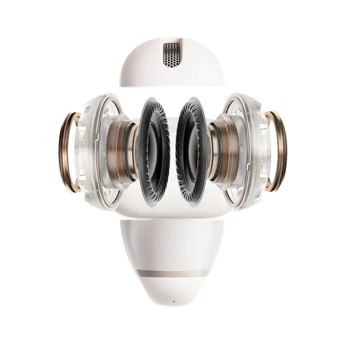 Shokz OpenDots 2