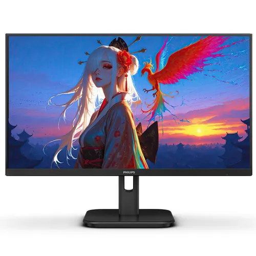 Philips 1000 series 22" LCD Monitor