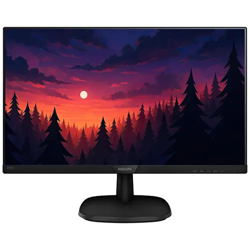 Philips 24" Full HD LCD monitor