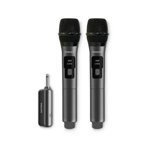 Philips DLM3401TP Dual Wireless Microphones