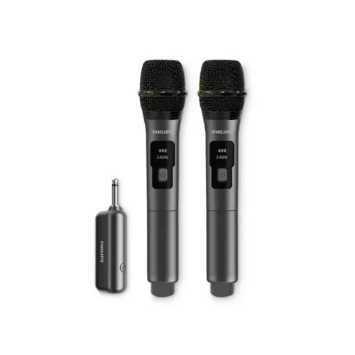 Philips DLM3401TP Dual Wireless Microphones