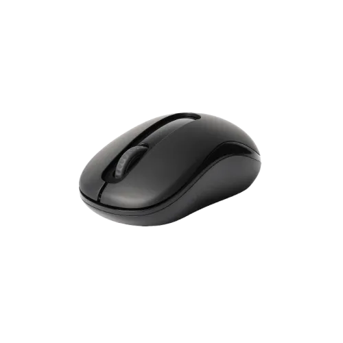 RAPOO M10 PLUS WIRELESS OPTICAL MOUSE(3y)