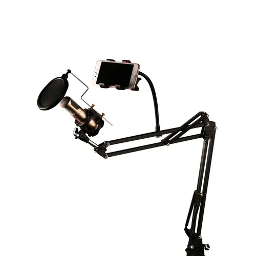 Remax Mobile Recording Studio Microphone Stand (CK100)