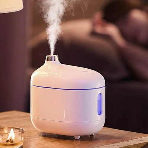 Remax Q06 Rich Moisture Disinfection Humidifier